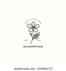 Line art meadowfoam flower illustration