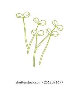 Linhagem de rebentos microverdes isolados sobre fundo branco.