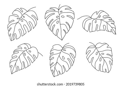line art monstera leaves set vector illustration. minimal design botanical leaf for icon, poster, card and web design.