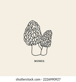 Morel Morel Morel Morel Miesmuschelgrafik