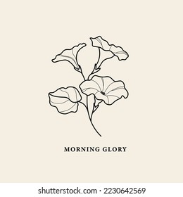 Ilustración de la flor de la gloria de la mañana del arte en línea