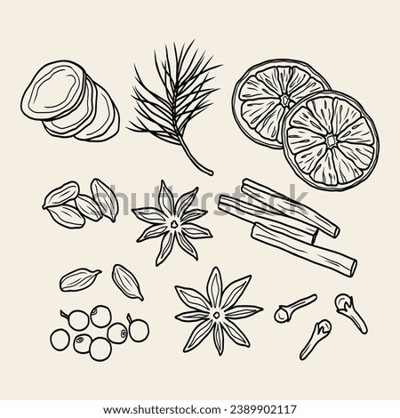 Line art mulled wine spices illustration