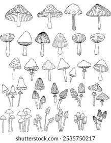 Line art mushrooms clipart collection, black contour illustration, fantastic and magical various types of mushrooms