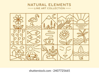 line art of natural elements collection