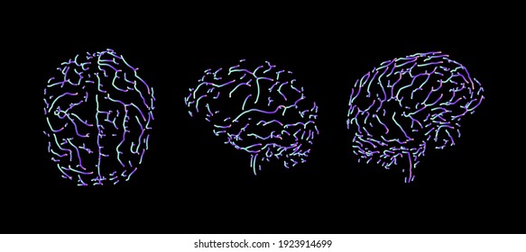 Line art of the nervous system of the human brain.