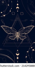 line art nocturnal moth or night fly on magical dark deep blue background with astrology symbols