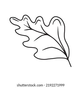 Line art of oak leaves. Minimal drawing of a green oak leaf in a sketch style, continuous line, isolated vector illustration. Scribble. For the design of pages of stories, background work, networks