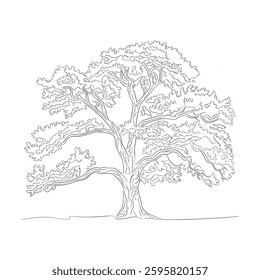 A line art oak tree illustration of a coloring page