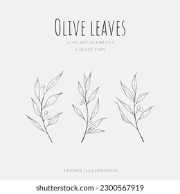 Line art olive leaves hand drawn element isolated on white background. Vector illustration