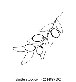 Line art of olive tree branch. Vector illustration.