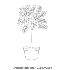 Line art of olive tree in pot. Vector illustration.