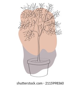 Line art of olive tree in pot. Vector illustration.