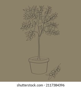 Line art of olive tree in pot. Vector illustration.