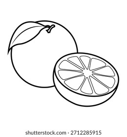 The Line Art of Orange Fruit C