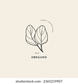 Line art oregano branch illustration