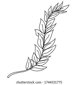 Line art ornament leaf for beauty, book, and logo vector