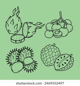 Line Art Outline Slice Tropical Exotic Fruits