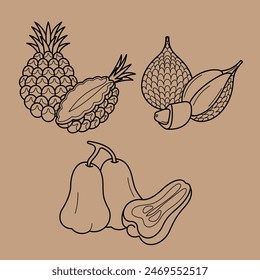 Line Art Outline Slice Tropical Exotic Fruits