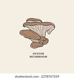 Line art oyster mushroom drawing