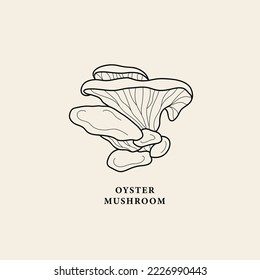 Line art oyster mushroom illustration