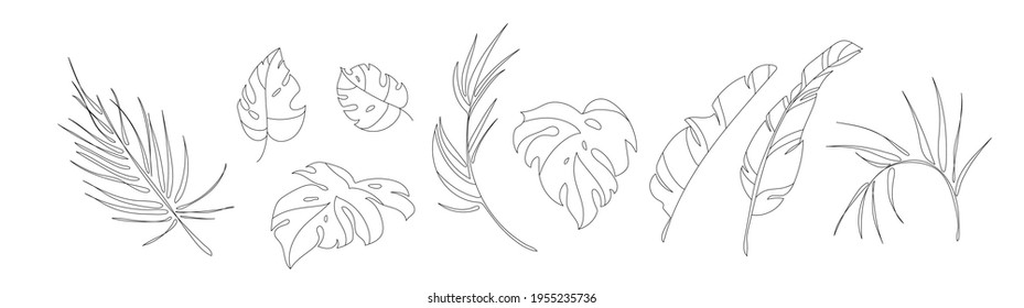 Line art of palm leaves, abstract tropical decor, palm branch, minimalist flower design. Vector palm artwork, botanical floral print.