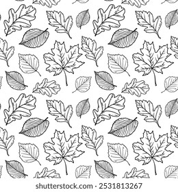 Line art pattern with different leaves.
