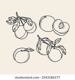 Line art peach fruit branches set