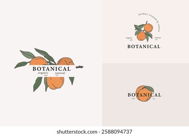 Line art peach fruit branches logotypes