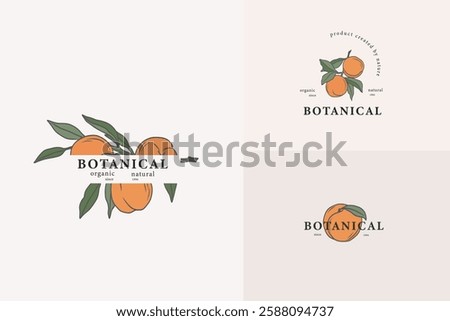 Line art peach fruit branches logotypes