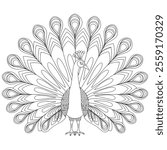 A line art peacock of a coloring page 