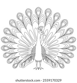 A line art peacock of a coloring page 