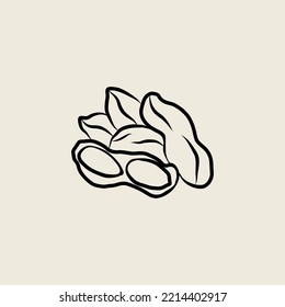 Line art peanut illustration. Botanical drawing
