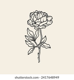 Line art peony flower branch