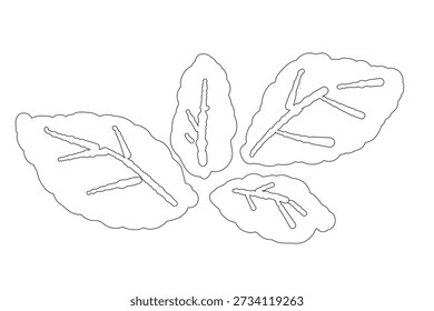 Linienart Pfefferminzblatt Cluster Vektor