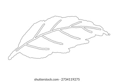 Linie Art Pfefferminzblatt, isolierter Vektor