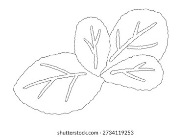 Line Art Pfefferminzblätter Set Vektor