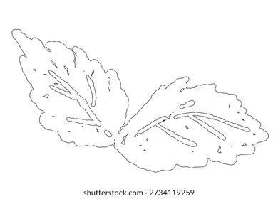 Line Art Pfefferminzfeder mit drei Blättern