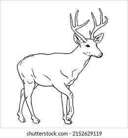 Line art pictures of black and white deer