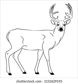 Line art pictures of black and white deer