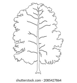 Line art pictures for kids coloring