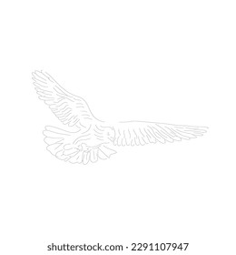 A line art pigeons fly 