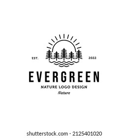 line art pine tree minimalist logo vector illustration design, evergreen logo design