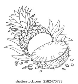 A line art pineapple illustration of a coloring page