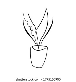 Line art plant in pot. Contour drawing of vector set of black and white house plants sketches. Isolated potted florals illustration.