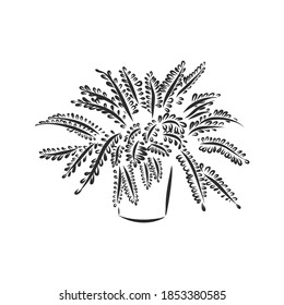 Line art plant in pot. Contour drawing of vector set of black and white house plants sketches. Isolated potted florals illustration. indoor plant vector sketch illustration