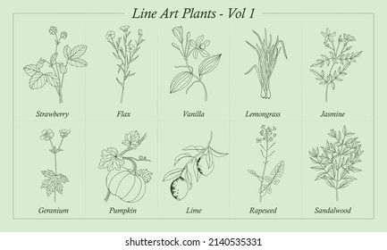 Line Art Plantagen Vol. 1 in Vektorgrafiken