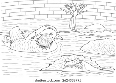 Line Art of Pond with Duck, Frog, and Lotus, A detailed line drawing illustration featuring a mandarin duck swimming in a pond alongside a frog sitting on a lily pad, with a blooming lotus flower