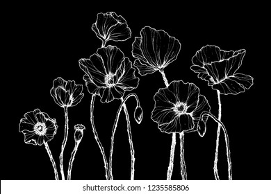 Line art with poppies. Black wall art. Monochrome floral background wallpaper. Flower ornament good for web, print and stencil.