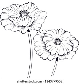 Poppy Line Images, Stock Photos & Vectors | Shutterstock