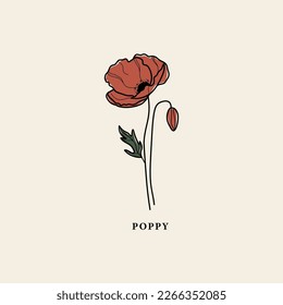 Line art poppy flower drawing